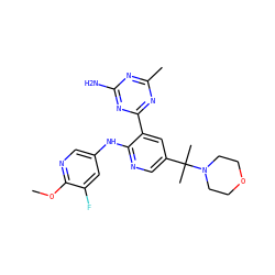 COc1ncc(Nc2ncc(C(C)(C)N3CCOCC3)cc2-c2nc(C)nc(N)n2)cc1F ZINC000113154293