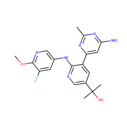 COc1ncc(Nc2ncc(C(C)(C)O)cc2-c2cc(N)nc(C)n2)cc1F ZINC000113150713