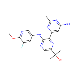 COc1ncc(Nc2ncc(C(C)(C)O)nc2-c2cc(N)nc(C)n2)cc1F ZINC000113147759