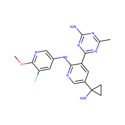 COc1ncc(Nc2ncc(C3(N)CC3)cc2-c2nc(C)nc(N)n2)cc1F ZINC000113234647