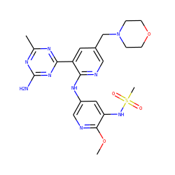 COc1ncc(Nc2ncc(CN3CCOCC3)cc2-c2nc(C)nc(N)n2)cc1NS(C)(=O)=O ZINC000113234732