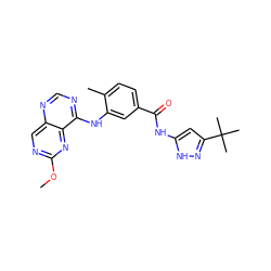COc1ncc2ncnc(Nc3cc(C(=O)Nc4cc(C(C)(C)C)n[nH]4)ccc3C)c2n1 ZINC000148361086