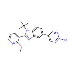 COc1ncccc1-c1nc2cc(-c3cnc(N)nc3)ccc2n1C(C)(C)C ZINC000169703420