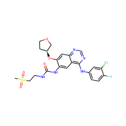 CS(=O)(=O)CCNC(=O)Nc1cc2c(Nc3ccc(F)c(Cl)c3)ncnc2cc1O[C@H]1CCOC1 ZINC000103253658