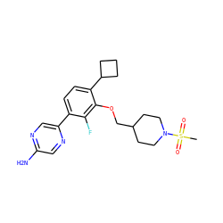 CS(=O)(=O)N1CCC(COc2c(C3CCC3)ccc(-c3cnc(N)cn3)c2F)CC1 ZINC000212128005