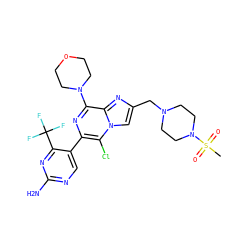CS(=O)(=O)N1CCN(Cc2cn3c(Cl)c(-c4cnc(N)nc4C(F)(F)F)nc(N4CCOCC4)c3n2)CC1 ZINC000084741546