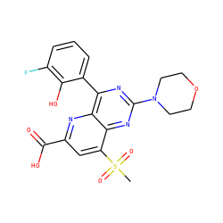 CS(=O)(=O)c1cc(C(=O)O)nc2c(-c3cccc(F)c3O)nc(N3CCOCC3)nc12 ZINC000169698813