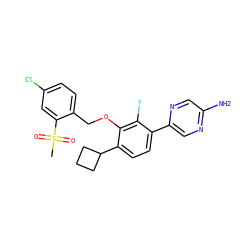 CS(=O)(=O)c1cc(Cl)ccc1COc1c(C2CCC2)ccc(-c2cnc(N)cn2)c1F ZINC000212169198