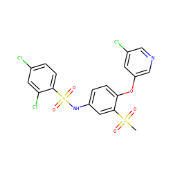 CS(=O)(=O)c1cc(NS(=O)(=O)c2ccc(Cl)cc2Cl)ccc1Oc1cncc(Cl)c1 ZINC000095591754