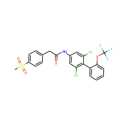 CS(=O)(=O)c1ccc(CC(=O)Nc2cc(Cl)c(-c3ccccc3OC(F)(F)F)c(Cl)c2)cc1 ZINC000143102732