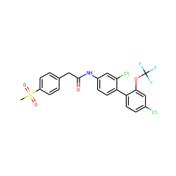 CS(=O)(=O)c1ccc(CC(=O)Nc2ccc(-c3ccc(Cl)cc3OC(F)(F)F)c(Cl)c2)cc1 ZINC000142603919