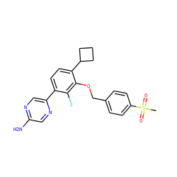 CS(=O)(=O)c1ccc(COc2c(C3CCC3)ccc(-c3cnc(N)cn3)c2F)cc1 ZINC000212168800