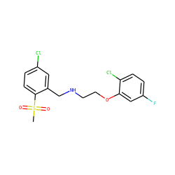 CS(=O)(=O)c1ccc(Cl)cc1CNCCOc1cc(F)ccc1Cl ZINC000205701227