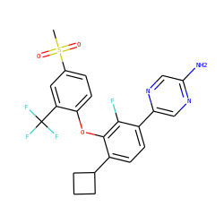 CS(=O)(=O)c1ccc(Oc2c(C3CCC3)ccc(-c3cnc(N)cn3)c2F)c(C(F)(F)F)c1 ZINC000224570067