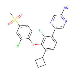 CS(=O)(=O)c1ccc(Oc2c(C3CCC3)ccc(-c3cnc(N)cn3)c2F)c(Cl)c1 ZINC000224556745