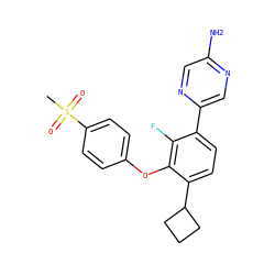 CS(=O)(=O)c1ccc(Oc2c(C3CCC3)ccc(-c3cnc(N)cn3)c2F)cc1 ZINC000224555674