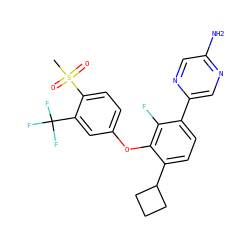 CS(=O)(=O)c1ccc(Oc2c(C3CCC3)ccc(-c3cnc(N)cn3)c2F)cc1C(F)(F)F ZINC000224544931