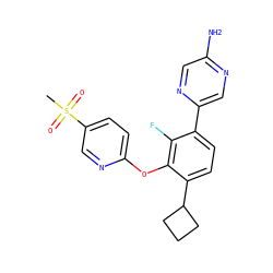 CS(=O)(=O)c1ccc(Oc2c(C3CCC3)ccc(-c3cnc(N)cn3)c2F)nc1 ZINC000224588488