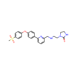 CS(=O)(=O)c1ccc(Oc2ccc(-c3cccc(CNCCN4CCNC4=O)n3)cc2)cc1 ZINC000114592889