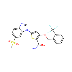 CS(=O)(=O)c1ccc2ncn(-c3cc(OCc4ccccc4C(F)(F)F)c(C(N)=O)s3)c2c1 ZINC000034177081
