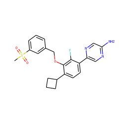 CS(=O)(=O)c1cccc(COc2c(C3CCC3)ccc(-c3cnc(N)cn3)c2F)c1 ZINC000212168711