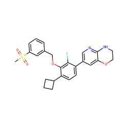 CS(=O)(=O)c1cccc(COc2c(C3CCC3)ccc(-c3cnc4c(c3)OCCN4)c2F)c1 ZINC000224577940