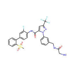 CS(=O)(=O)c1ccccc1-c1ccc(NC(=O)c2cc(C(F)(F)F)nn2-c2cccc(CNC(=O)CN)c2)c(F)c1 ZINC000049766468