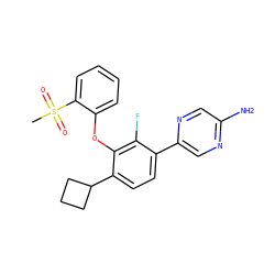 CS(=O)(=O)c1ccccc1Oc1c(C2CCC2)ccc(-c2cnc(N)cn2)c1F ZINC000224576709