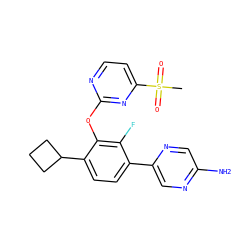 CS(=O)(=O)c1ccnc(Oc2c(C3CCC3)ccc(-c3cnc(N)cn3)c2F)n1 ZINC000224555816