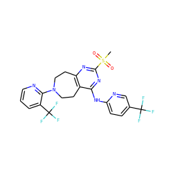 CS(=O)(=O)c1nc2c(c(Nc3ccc(C(F)(F)F)cn3)n1)CCN(c1ncccc1C(F)(F)F)CC2 ZINC000145062253