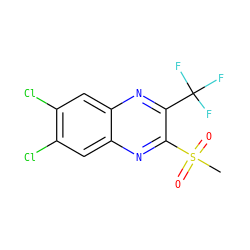 CS(=O)(=O)c1nc2cc(Cl)c(Cl)cc2nc1C(F)(F)F ZINC000028950949