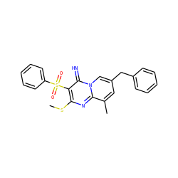 CSc1nc2c(C)cc(Cc3ccccc3)cn2c(=N)c1S(=O)(=O)c1ccccc1 ZINC000034207679