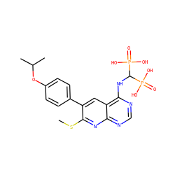 CSc1nc2ncnc(NC(P(=O)(O)O)P(=O)(O)O)c2cc1-c1ccc(OC(C)C)cc1 ZINC000299824632
