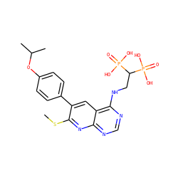 CSc1nc2ncnc(NCC(P(=O)(O)O)P(=O)(O)O)c2cc1-c1ccc(OC(C)C)cc1 ZINC000299828977