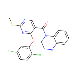 CSc1ncc(C(=O)N2CCNc3ccccc32)c(Oc2cc(Cl)ccc2Cl)n1 ZINC000299827842