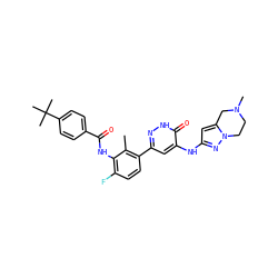 Cc1c(-c2cc(Nc3cc4n(n3)CCN(C)C4)c(=O)[nH]n2)ccc(F)c1NC(=O)c1ccc(C(C)(C)C)cc1 ZINC000145923256
