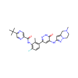 Cc1c(-c2cc(Nc3cc4n(n3)CCN(C)C4)c(=O)[nH]n2)ccc(F)c1NC(=O)c1cnc(C(C)(C)C)cn1 ZINC000145893521