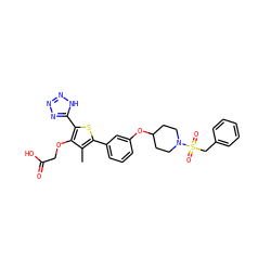 Cc1c(-c2cccc(OC3CCN(S(=O)(=O)Cc4ccccc4)CC3)c2)sc(-c2nnn[nH]2)c1OCC(=O)O ZINC000028887038