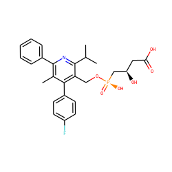 Cc1c(-c2ccccc2)nc(C(C)C)c(CO[P@](=O)(O)C[C@H](O)CC(=O)O)c1-c1ccc(F)cc1 ZINC000026675359