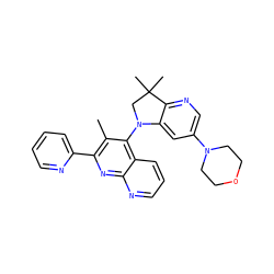 Cc1c(-c2ccccn2)nc2ncccc2c1N1CC(C)(C)c2ncc(N3CCOCC3)cc21 ZINC000118092663