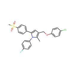 Cc1c(COc2ccc(Cl)cc2)cc(-c2ccc(S(C)(=O)=O)cc2)n1-c1ccc(F)cc1 ZINC000013762080