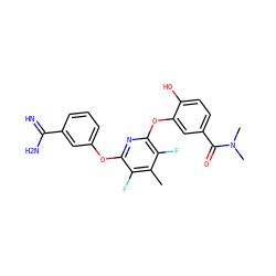 Cc1c(F)c(Oc2cccc(C(=N)N)c2)nc(Oc2cc(C(=O)N(C)C)ccc2O)c1F ZINC000013474040