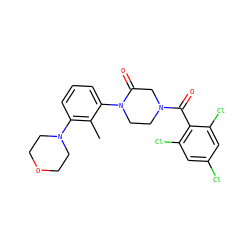 Cc1c(N2CCOCC2)cccc1N1CCN(C(=O)c2c(Cl)cc(Cl)cc2Cl)CC1=O ZINC000059298813