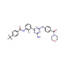 Cc1c(NC(=O)c2ccc(C(C)(C)C)cc2)cccc1-c1nc(N)nc(Nc2ccc(C(=O)N3CCOCC3)cc2)n1 ZINC000205861336