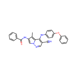 Cc1c(NC(=O)c2ccccc2)cn2ncc(C#N)c(Nc3ccc(Oc4ccccc4)cc3)c12 ZINC000028569429