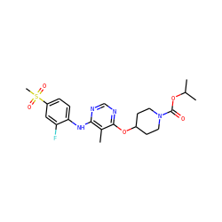 Cc1c(Nc2ccc(S(C)(=O)=O)cc2F)ncnc1OC1CCN(C(=O)OC(C)C)CC1 ZINC000068250104