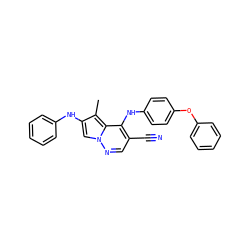 Cc1c(Nc2ccccc2)cn2ncc(C#N)c(Nc3ccc(Oc4ccccc4)cc3)c12 ZINC000028568038