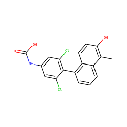 Cc1c(O)ccc2c(-c3c(Cl)cc(NC(=O)O)cc3Cl)cccc12 ZINC000028524626