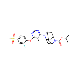 Cc1c(Oc2ccc(S(C)(=O)=O)cc2F)ncnc1N1C2CC3CC1CC(C2)N3C(=O)OC(C)C ZINC000095596741