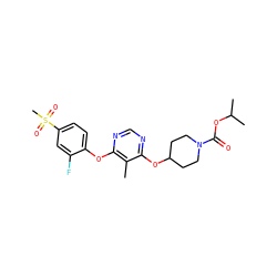Cc1c(Oc2ccc(S(C)(=O)=O)cc2F)ncnc1OC1CCN(C(=O)OC(C)C)CC1 ZINC000073278385